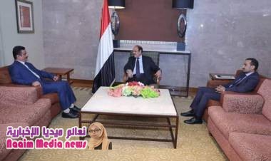 اطلع نائب رئيس الجمهورية الفريق الركن علي محسن صالح،اليوم، على الجهود الحكومية المبذولة لتوفير الكهرباء في المحافظات المحررة