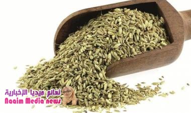 فوائد اليانسون لمرضى القولون العصبي لا تقدّر بثمن !