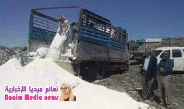 16 دينه تحمل دقيق فاسد تم ضبطها بتاريخ 10/27 من قبل افراد قسم شرطه الحصب بمحافظه تعز