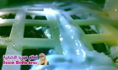 الصين تنجح في إنبات بذور القطن والبطاطا في الجانب المعتم من القمر