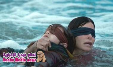 بيرد بوكس" و"إيليت" يرفعان أعداد المشتركين لدى نتفليكس