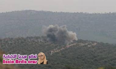 سوريا: زيتون عفرين تحوّل إلى "مصدر دخل" للجماعات المسلحة