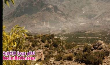 صورة لمدينة تعز