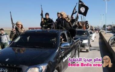 هل يعود تنظيم "الدولة الإسلامية" بعد انهيار "دولة الخلافة"؟