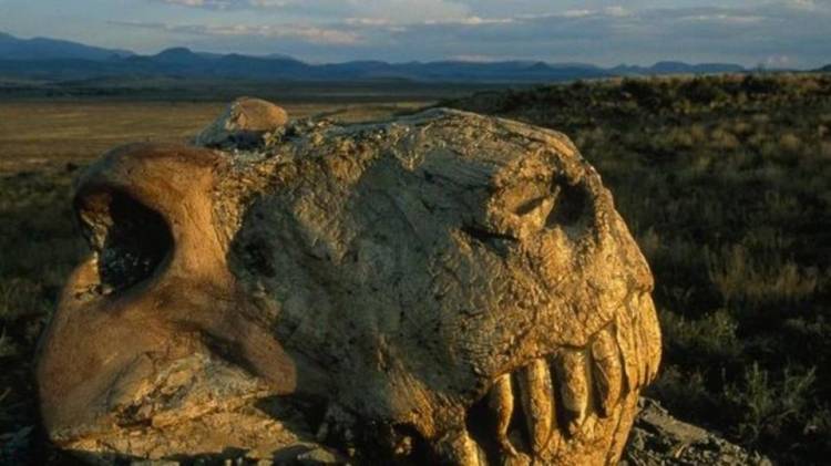 هكذا حدث "الموت العظيم" قبل 252 مليون سنة