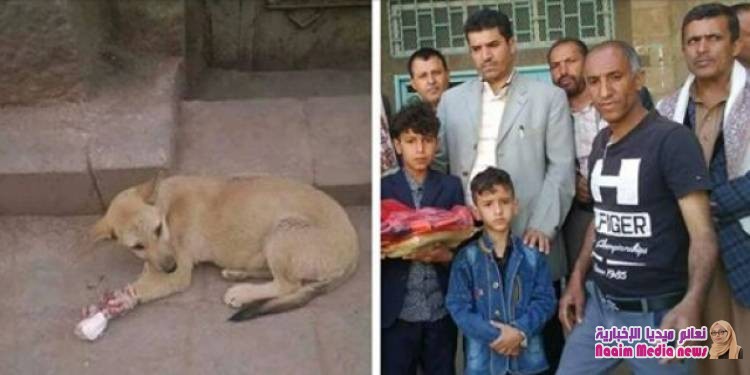  طفل يمني يضمد جراح كلب دهسته سيارة عابرة!