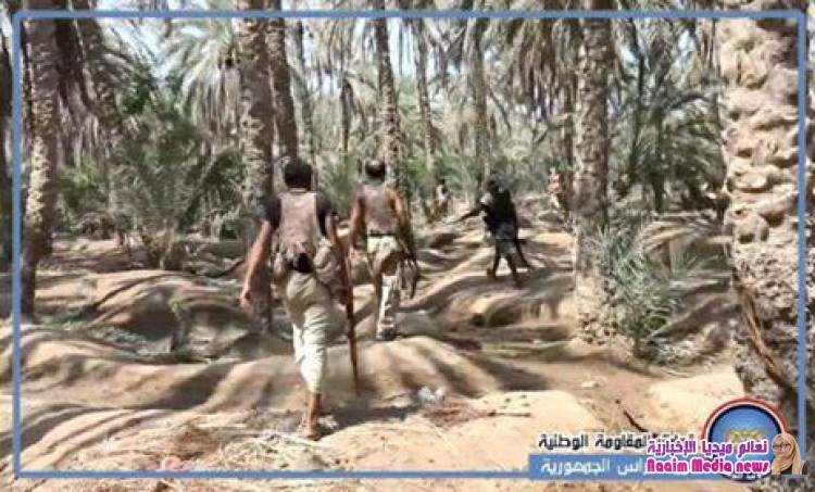 حراس الجمهورية يمشطون 7كم من مزارع النخيل جنوب بيت الفقيه بالحديدة