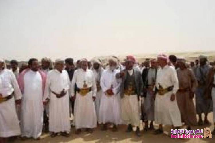 صلح لخمسة أعوام بين قبائل شبوة والتوقيع على (وثيقة المصالحة والبناء