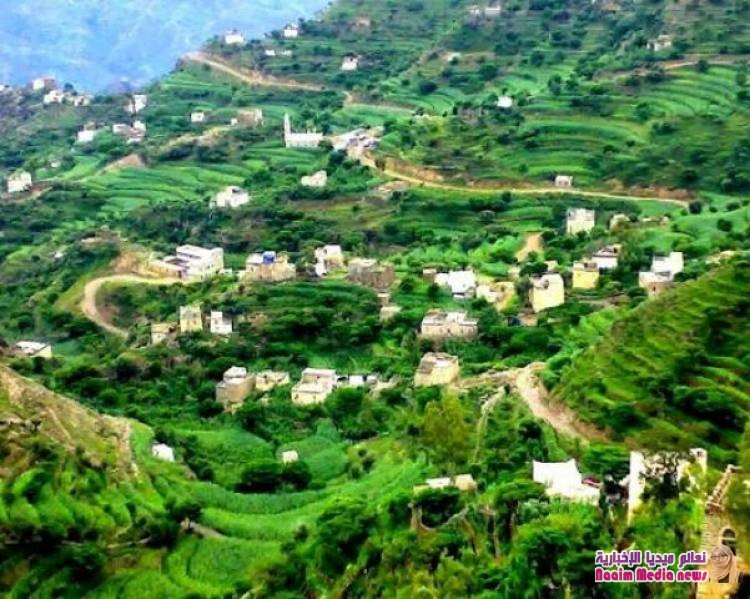  هتك عرض ونهب وقتل مسّنة في الـ60 من عمرها في وصاب العالي بمحافظة ذمار