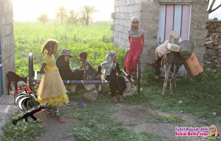 عاجل/ حالة نزوح كلي للمواطنين الابرياء من قرية الكدمة قحيفة من قبل مليشيات الحوثي الأجرامية