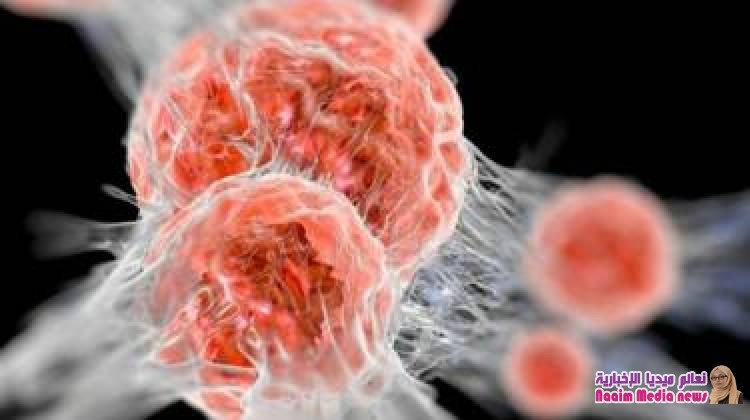 جائزة نوبل للطب لأمريكي وياباني توصلا لعلاج جديد للسرطان