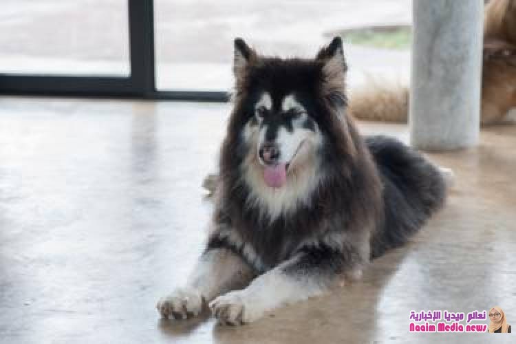 10 أمور قد لا تعرفها عن غوغل