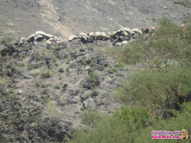 مدير مديرية جبل حبشي يزور مواقع الجيش الوطني في بلاد الوافي غرب المدينة