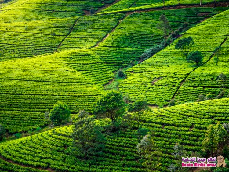 10 صور رائعة ستقنعك بزيارة سريلانكا