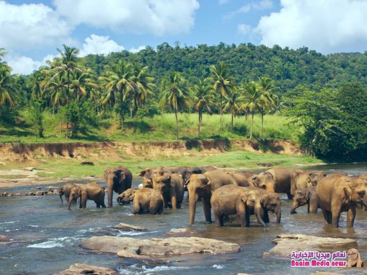 10 صور رائعة ستقنعك بزيارة سريلانكا