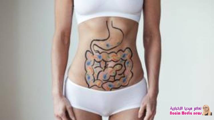 7 حقائق مدهشة عن الأمعاء التي تعتبر "الدماغ الثاني للإنسان"