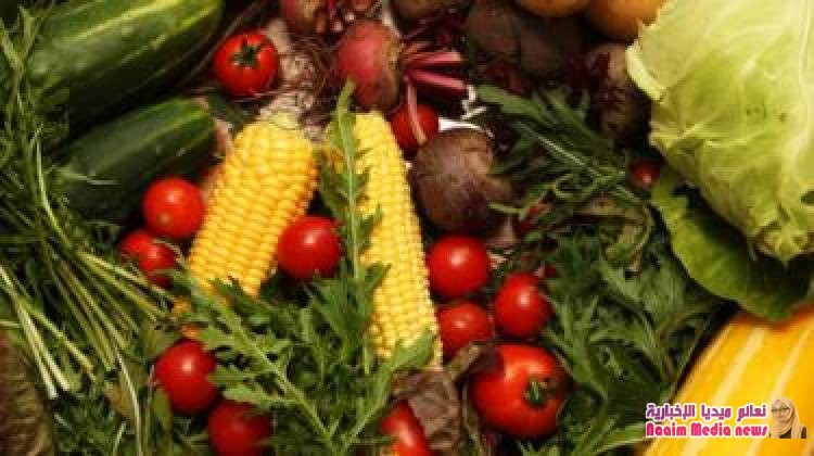 7 حقائق مدهشة عن الأمعاء التي تعتبر "الدماغ الثاني للإنسان"