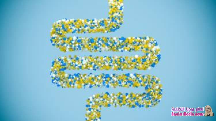 7 حقائق مدهشة عن الأمعاء التي تعتبر "الدماغ الثاني للإنسان"