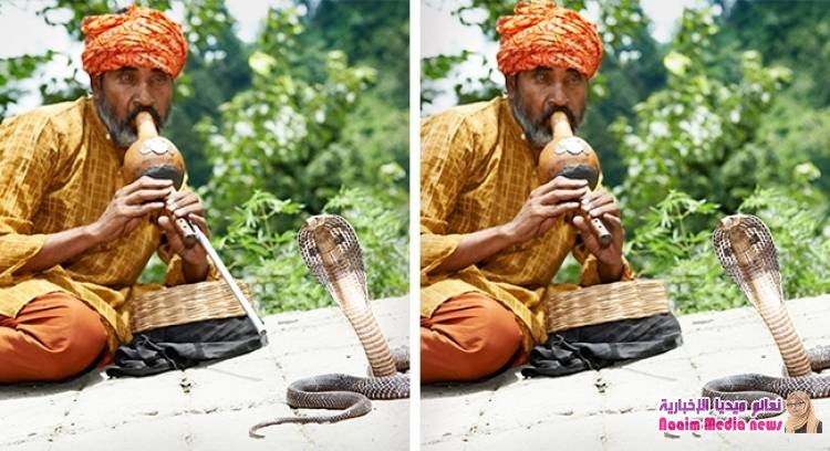 اخرج الاختلافات؟؟