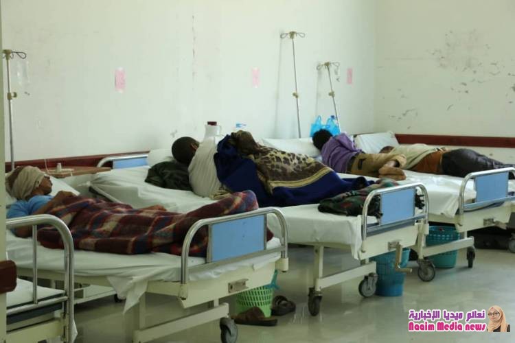 شاهد بالصور عمل دائوب في برنامج الاستجابه الطارئة لمكافحة حمي الضنك