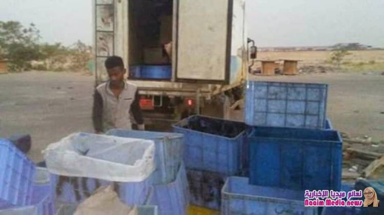 نقطة الصحبي السحر بطور الباحة تضبط شحنة أسلحة في طريقها للحوثيين