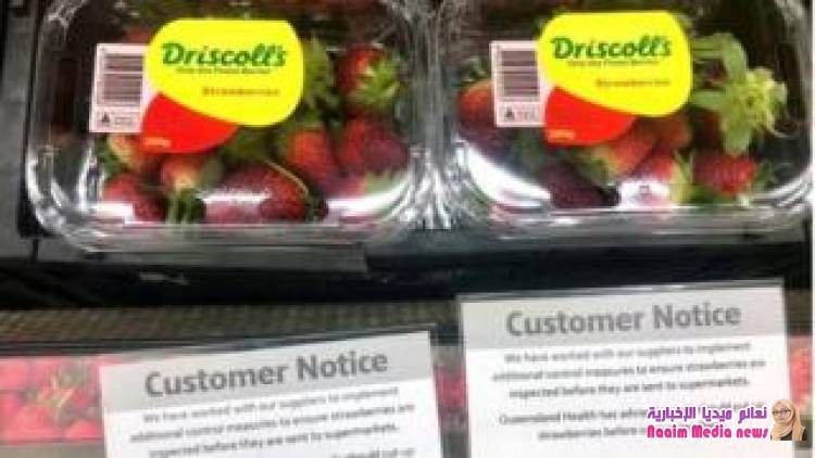 القبض على متهمة بـدسّ إبر في الفراولة في استراليا