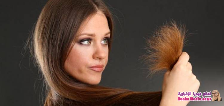  علاج تقصف الشعر بالخلطات الطبيعية...شاهدي الفرق