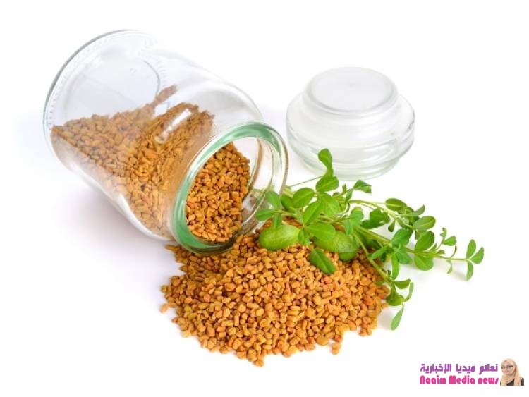 فوائد الحلبة: السيطرة على الشهية وتحسن الأداء الرياضي