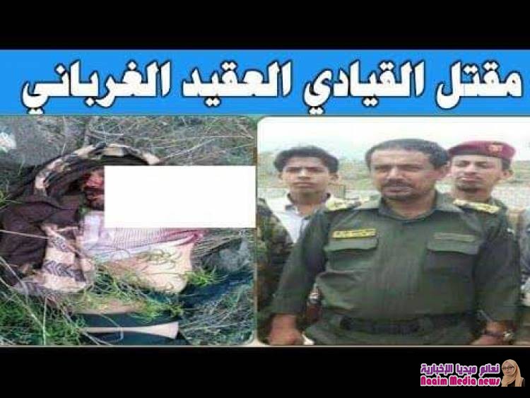 الضالع : رسالة موبايل عثر عليها في جوال القيادي المتحوث هشام الغرباني تكشف عن تصفيات حوثي صعدة لمتحوثي دمت..