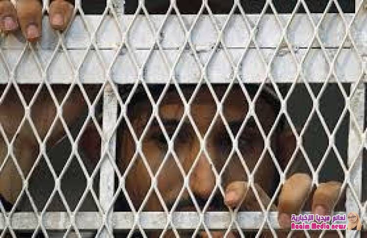 فريق المختطفين والأسرى يقدم كشوفات بـ ٨٢٠٠ مختطف لدى ميليشيا الحوثي