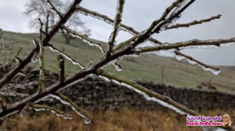 العاصفة "ديردرا" تجتاح بريطانيا بالثلوج وتقطع الكهرباء