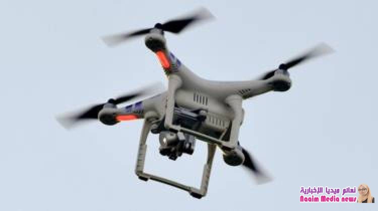 نسور لمواجهة خطر الطائرات من دون طيار