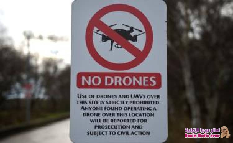 نسور لمواجهة خطر الطائرات من دون طيار
