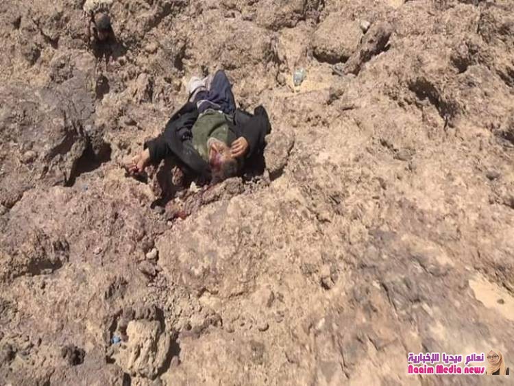 عشرات القتلى والجرحى في صفوف مليشيا الحوثي في معارك بجبهة صرواح