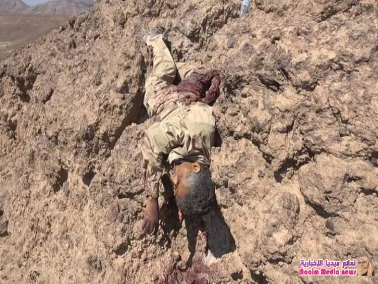 عشرات القتلى والجرحى في صفوف مليشيا الحوثي في معارك بجبهة صرواح