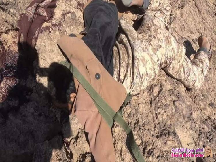 عشرات القتلى والجرحى في صفوف مليشيا الحوثي في معارك بجبهة صرواح