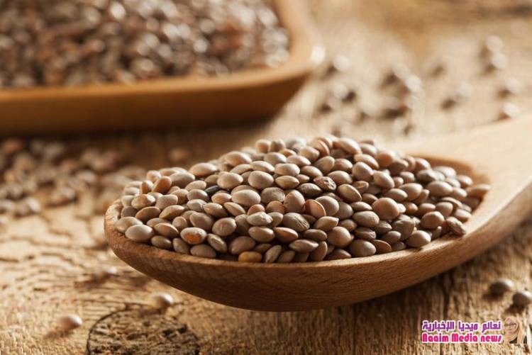 فوائد العدس في الرجيم