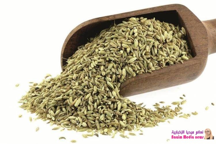 فوائد اليانسون لمرضى القولون العصبي لا تقدّر بثمن !