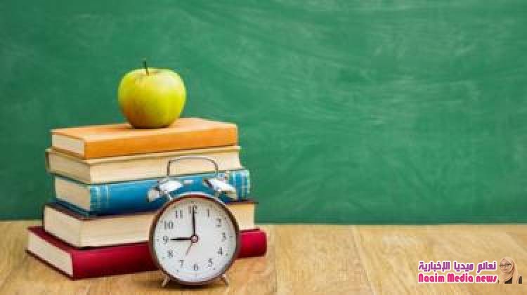 كيف "تتعلم أي شيء" في 20 ساعة فقط؟