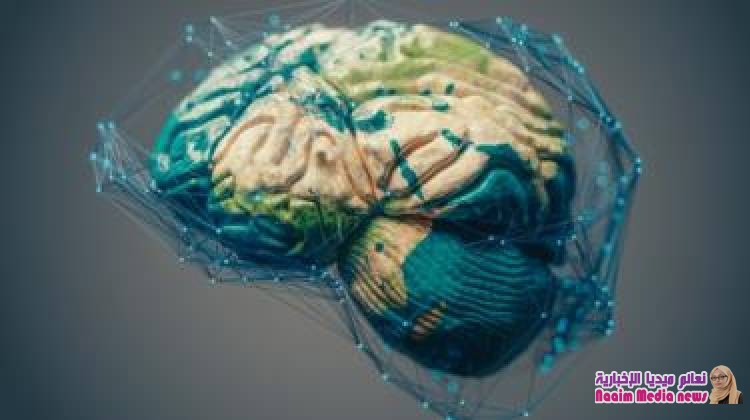 كيف "تتعلم أي شيء" في 20 ساعة فقط؟