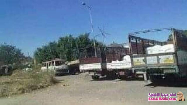 16 دينه تحمل دقيق فاسد تم ضبطها بتاريخ 10/27 من قبل افراد قسم شرطه الحصب بمحافظه تعز