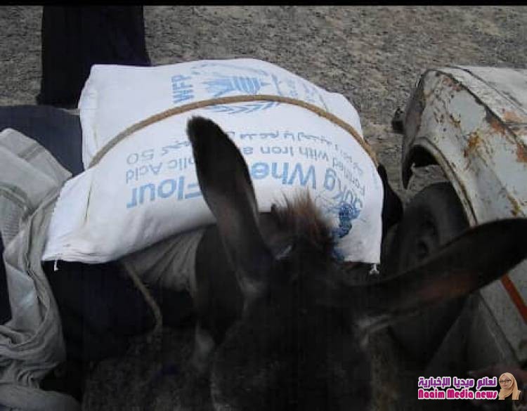 اليمن برنامج الغذاء العالمي والعد التنازلي بإب