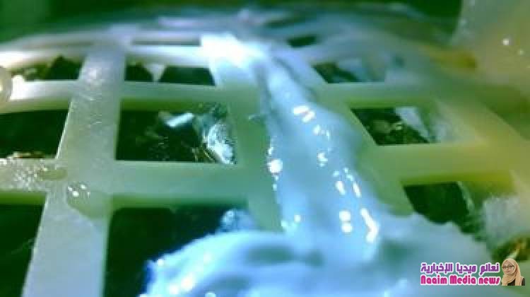 الصين تنجح في إنبات بذور القطن والبطاطا في الجانب المعتم من القمر