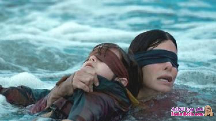 بيرد بوكس" و"إيليت" يرفعان أعداد المشتركين لدى نتفليكس