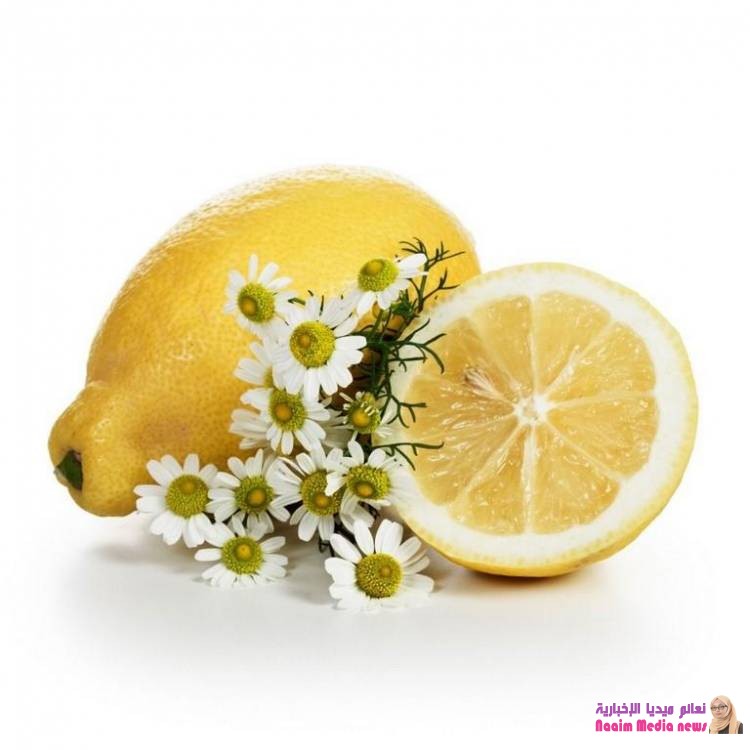 البابونج لشعر طويل ومشرق