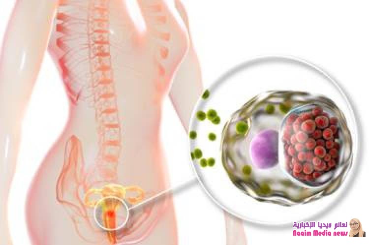 الجنس: العلماء قلقون من أربعة أمراض جديدة "رهيبة" تنتقل بالممارسة الجنسية