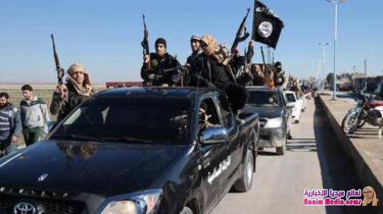 هل يعود تنظيم "الدولة الإسلامية" بعد انهيار "دولة الخلافة"؟