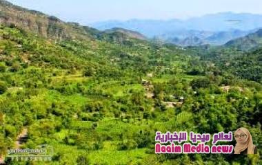 ‏قتلى وجرحى إثر مداهمه مسلحة لحوثيين في أحد مساجد إب