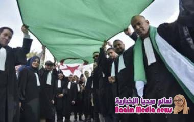 الانتخابات الرئاسية الجزائرية: قضاة يرفضون الإشراف عليها إذا ترشح بوتفليقة