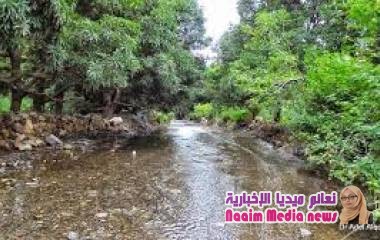 تمكن أبطال الجيش الوطني المرابطون في جبهة الضباب من صد هجوم عنيف لميشيات الحوثي الإنقلابية على منطقة الصياحي جنوب غرب المدينة 